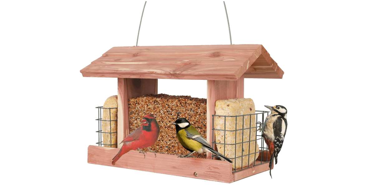 Solution4Patio US Cedar Hopper Bird Feeder for Outdoors Hanging, Handcrafted Wood Double Suet Cage & Clear View Windows, Squirrel-Proof Wild Bird Feeder for Cardinals, Finches, Chickadees
