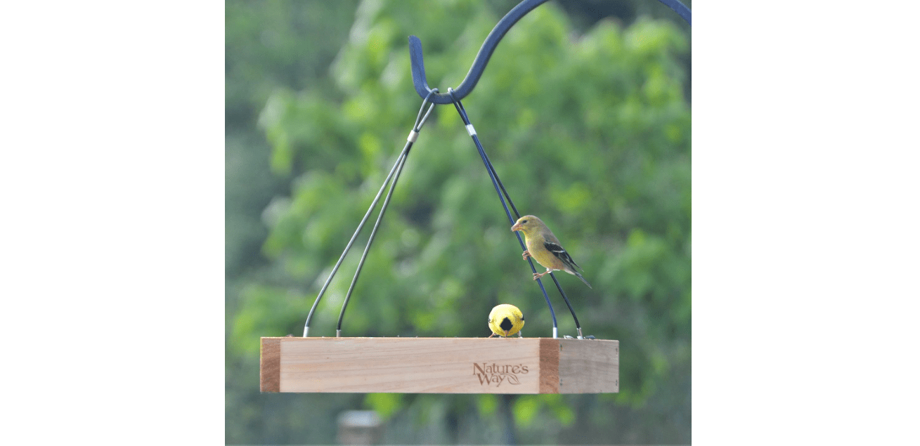 Nature's Way Bird Products CWF3 Cedar Platform Tray Bird Feeder 12" x 12"
