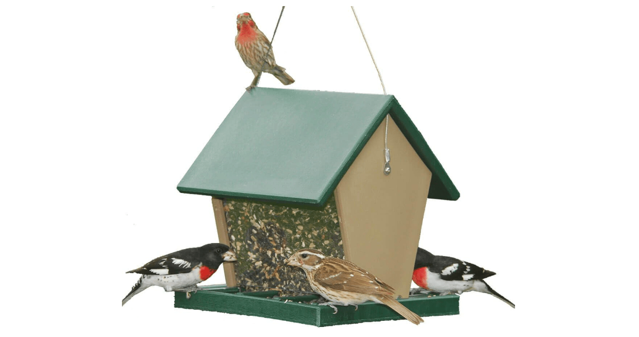 Songbird Essentials SERUBHF75 Recycled Plastic Large Hopper Feeder
