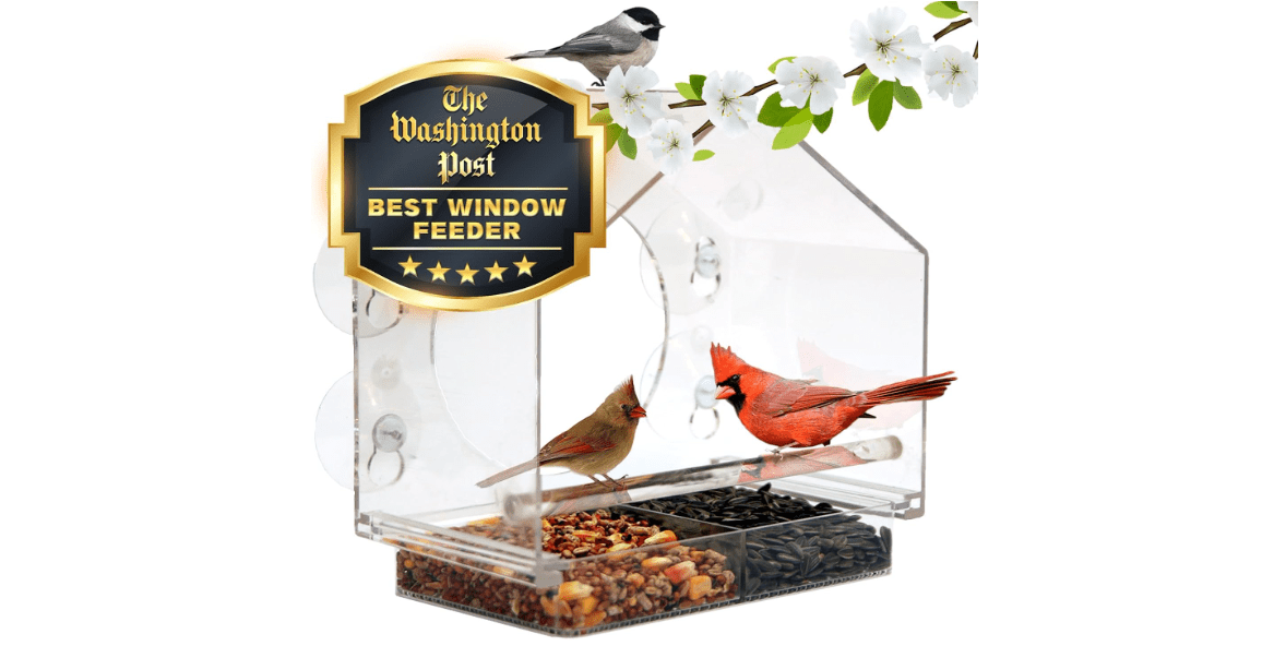 Window Bird Feeder by Nature Anywhere - Transparent Acrylic Bird Feeders for Outdoors - Enhanced Suction Grip, Bird Watching for Cats, Easy-to-Clean, Outdoor Birdhouse Feeder

