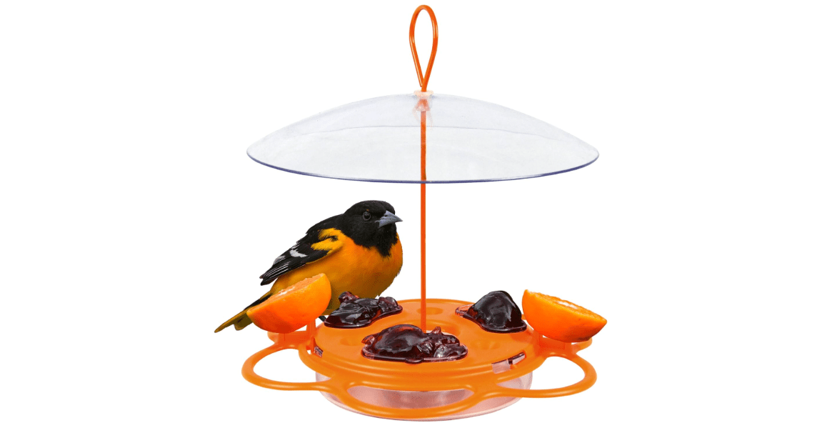 Nature's Way OFP1 All-in-One Oriole Buffet Bird Feeder, Orange
