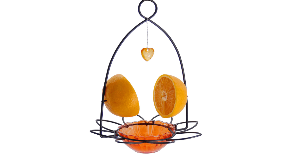 FORUP Oriole Bird Feeder, Orange Fruit Oriole Feeder

