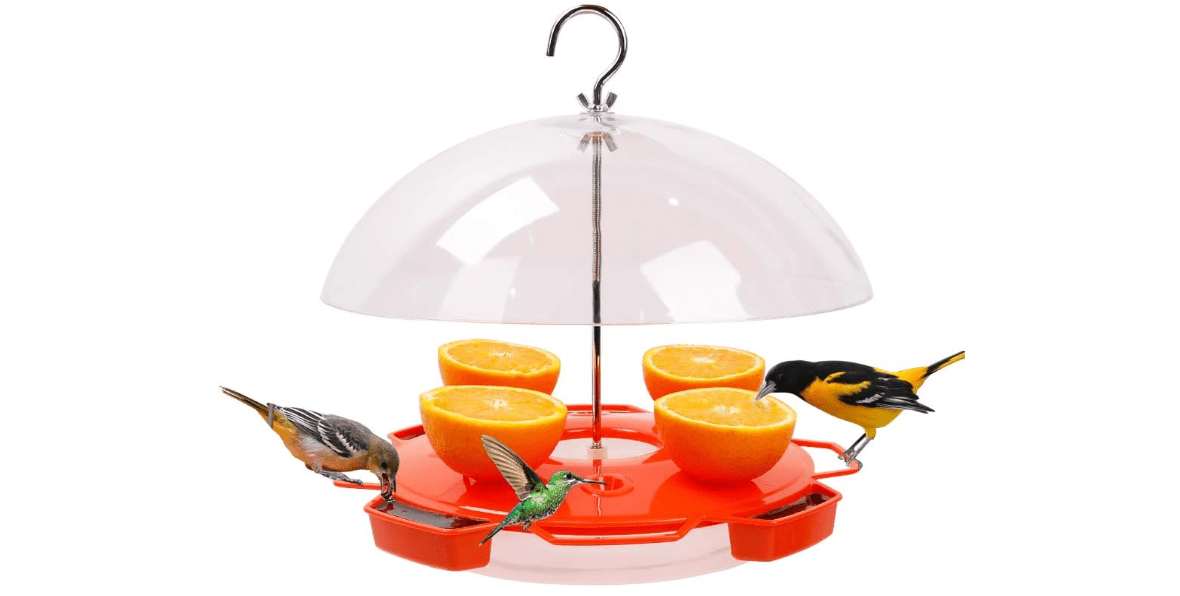Solution4Patio Baltimore Oriole Feeder Hummingbird Combination, 3 Types Food, Orange, Grape Jelly, Nectar, 34-Ounce Nectar Capacity, Weather Guard Squirrel Baffle
