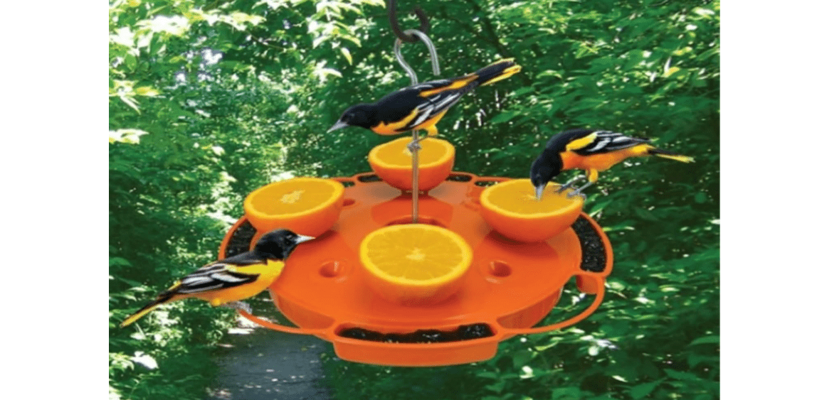 Songbird Essentials Ultimate Oriole Feeder
