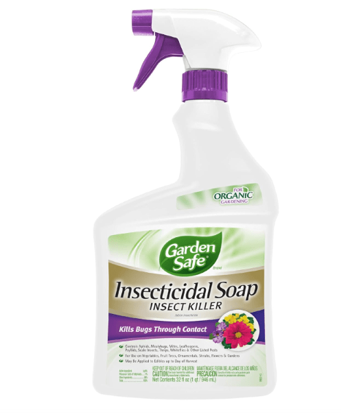 Garden Safe Insecticidal Soap – Best Overall