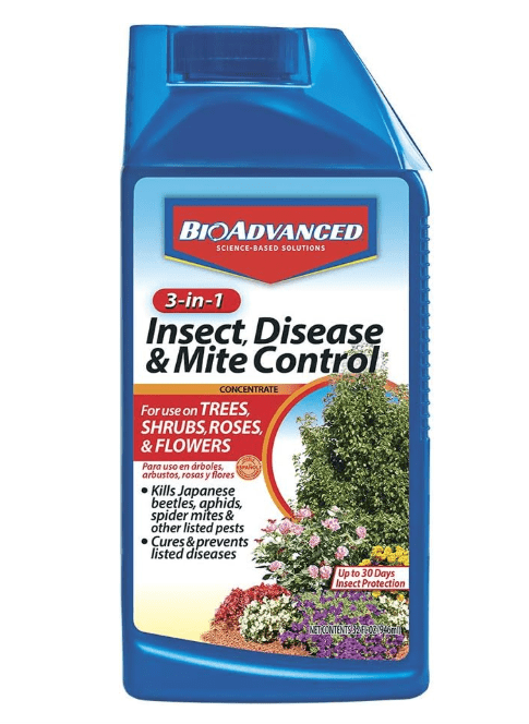 BioAdvanced 3-in-1 Insect, Disease & Mite Control – Best for Gardens