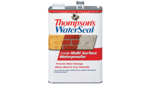 Thompson’s WaterSeal Multi-Surface Waterproofer Stain, Clear, 1 Gallon

