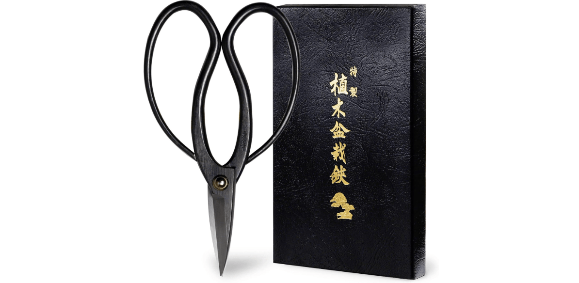 Wazakura Bonsai Scissors MADE IN JAPAN 7inch(180mm), Japanese Bonsai Garden Tools, Hasami Pruning Shears
