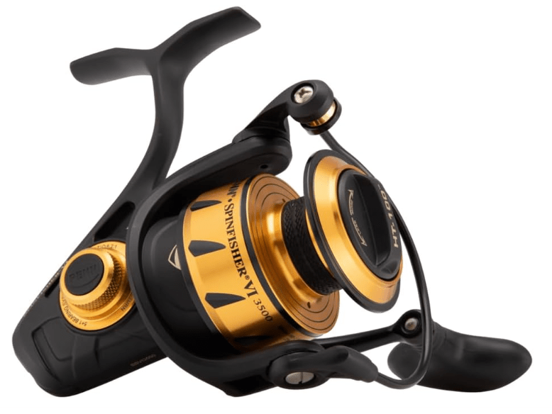 Penn Clash II 1000 (Best for Durability)