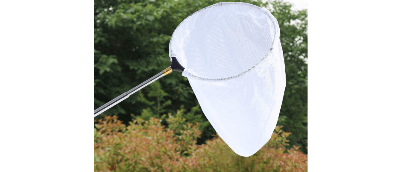 Rngeo Telescopic Butterfly Net, Stainless Steel Extendable Fishing, 15 in - 70 in Insect Toy Nets for Kids and Family (Silver)