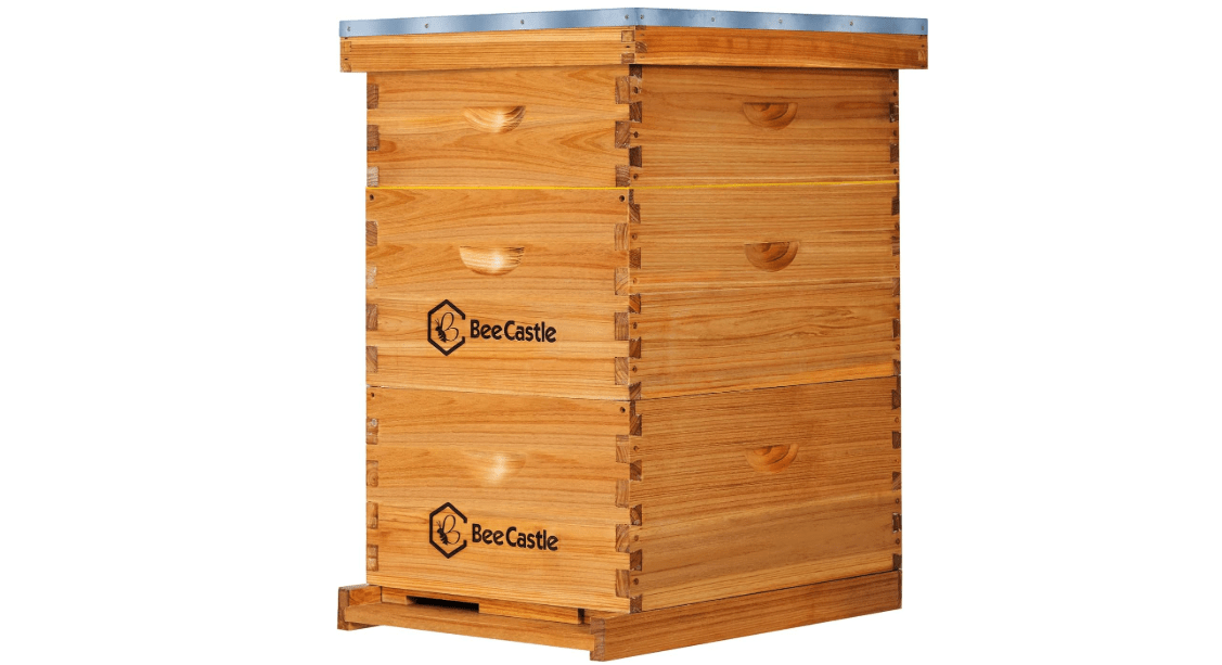 BeeCastle 10 Frame Langstroth Bee Hive Coated with Beeswax Includes Beehive Frames and Waxed Foundations (2 Deep Boxes & 1 Medium Box)