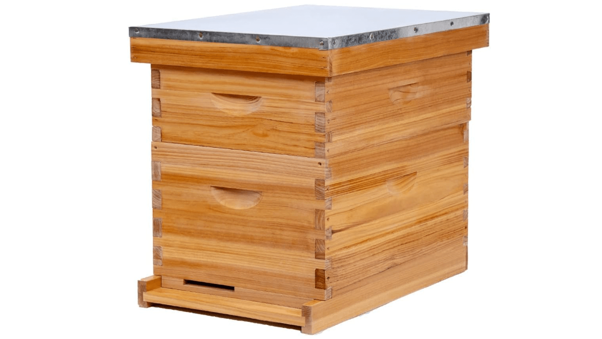 Honey Lake 8-Frame Beehive Complete Bee Hive Boxes Starter Kit Dipped in Beeswax Includes Beehive Frames and Waxed Foundations Sheets (1 Deep Brood Bee Box & 1 Medium Super Box)