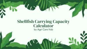 Shellfish Carrying Capacity Calculator