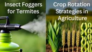 insect foggers for termites