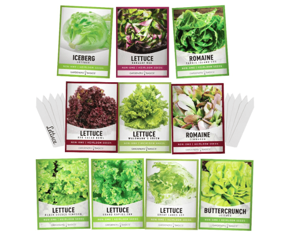 Gardeners Basics, Salad Greens Lettuce Seeds Heirloom Vegetable Seed 23,000 Seeds for Planting Indoors and Outdoor 10 Packs - Buttercrunch, Romaine, Iceberg, (and More) Leaf and Head Variety Pack