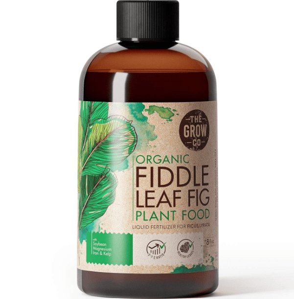Organic Fiddle Leaf Fig Tree Plant Food - Liquid Fertilizer for Potted Figs - Nutrient Rich Formula to Grow Healthy Indoor and Outdoor Ficus Plants (8 oz)