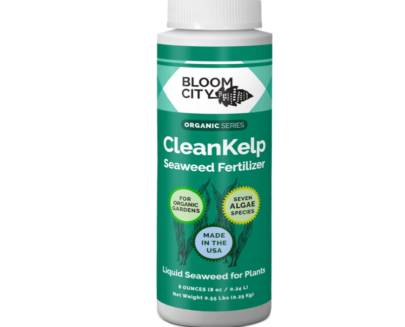 Organic Liquid Seaweed and Kelp Fertilizer Supplement by Bloom City, (8 oz) Concentrated Makes 45 Gallons
