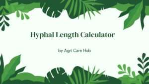 Hyphal Length Calculator