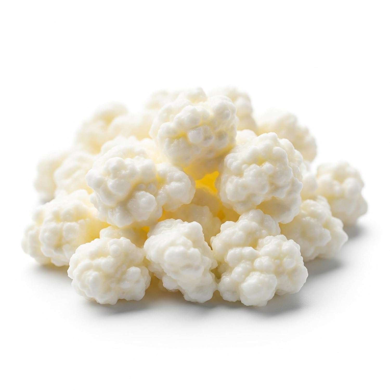 Live Milk Kefir Grains - Non-GMO, Easy to Make Homemade Kefir - Probiotic Starter Culture (1 TBSP) - Reusable, Bulgaros