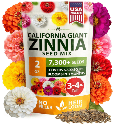 HOME GROWN Zinnia Seeds for 2026 - California Giant Mix - 7,300+ (2 oz) 𝗡𝗢𝗡-𝗚𝗠𝗢 𝗨𝗦𝗔 Plant Wildflower Blooms – Bulk Seeds for Planting Flowers Outside - Pollinator Gardens (Zinnia elegans)