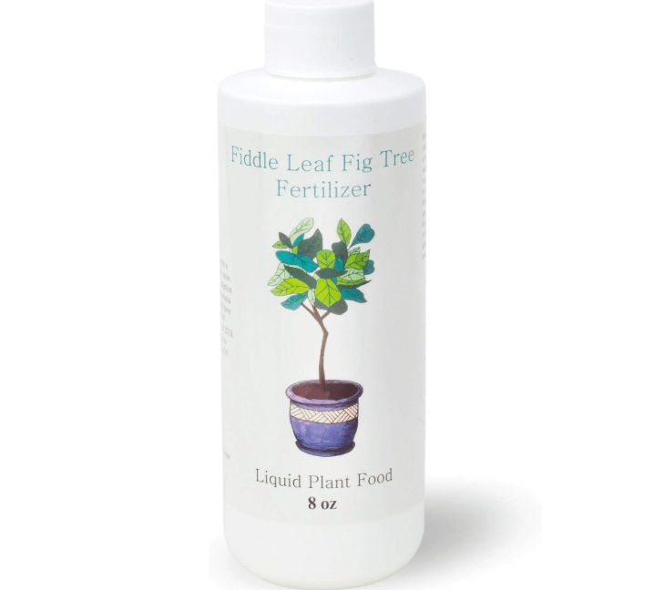 Fiddle Leaf Fig Tree Fertilizer | Ficus Plant Food | Improves Leaves and Branches | Potted Indoor Trees and House Plants Treatment by Aquatic Arts
