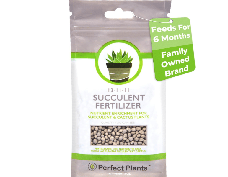 Succulent and Cactus Fertilizer in 5oz. Bag | Long Lasting Gentle Plant Food Formula for All Live Succulents, Cacti, and Other Desert Houseplants