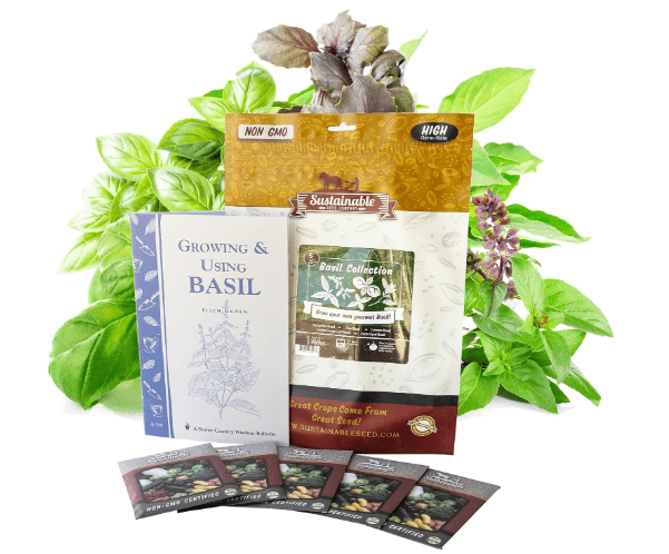 Deluxe Basil Seed Collection - 5 Varieties, 100% Non-GMO Heirloom Genovese Basil, Thai Basil, Lemon Basil, Italian Basil, and Dark Opal Basil Herb Seeds by Sustainable Seed Company