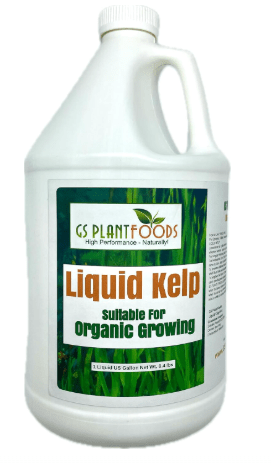 GS Plant Foods Liquid Kelp Fertilizer – Suitable for Organic Growing, OMRI Listed Seaweed Concentrate for Lawns, Gardens & Soil - 1 Gallon (Makes Up To 800+ Gallons)