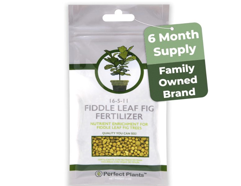 Fiddle Leaf Fig Slow-Release Fertilizer by Perfect Plants - Resealable 5oz. Bag - Consistent Nutrient Enrichment - for Indoor and Outdoor Use on All Ficus Varieties