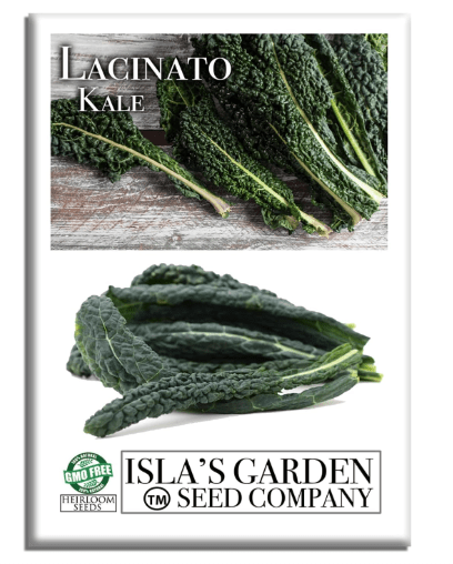 Lacinato Kale Seeds (Brassica oleracea var. palmifolia) – 500+ Heirloom Non-GMO Seeds by Isla’s Garden Seeds, Dark Blue-Green “Dinosaur” Leaves, Nutrient-Dense Cool-Season Green,Salads, Soups & Sautés
