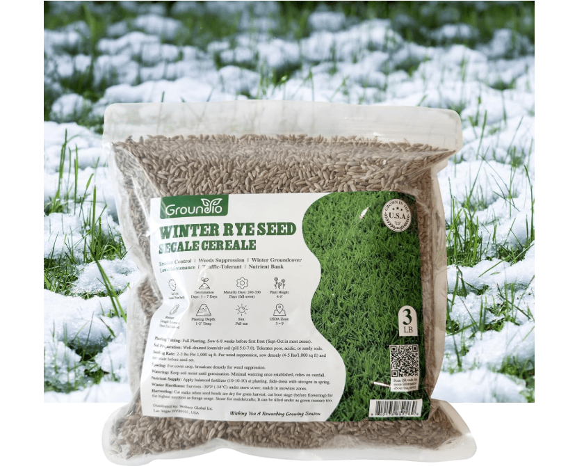 Winter Rye Seeds, 3lbs Non-GMO Cover Crop Seeds, Annual Secale Cereale to Plant for Lawn Alternative, Rye Grass Seed Grown in The USA