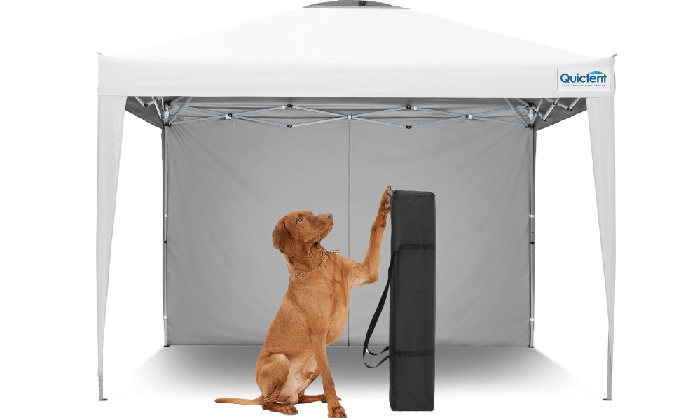 Quictent 10x10 Pop Up Canopy Tent, Instant Setup Gazebo for 1 Person, Portable & Compact, Waterproof & UV Protection, Ideal for Camping, Beach, Parties, and Outdoor Events
