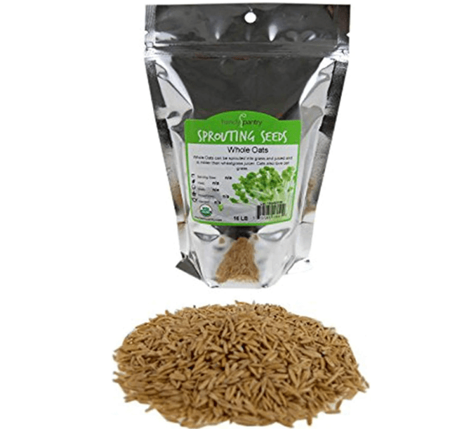 Organic Non-GMO Whole Oat Grain Seeds (With Husk Intact)- 1 Lb Re-Sealable Pouch- Oats Seed Grains, for Sprouting, Oat Grass, Animal Feed, Storage & More