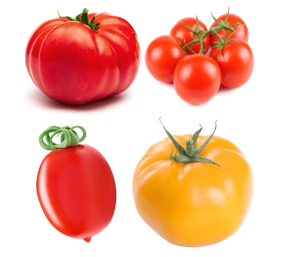 Tomato Seeds Variety Pack – 4 Heirloom Non-GMO Varieties: Beefsteak, Cherry, San Marzano, Yellow Brandywine – High Yield Garden Seeds for Planting Indoors or Outdoors