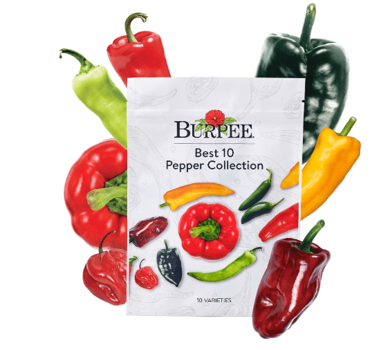 Burpee Best Collection | 10 Packets of Non-GMO Fresh Mix of Hot Pepper & Sweet Varieties | Jalapeno, Bell Pepper Seeds & More, Seeds for Planting
