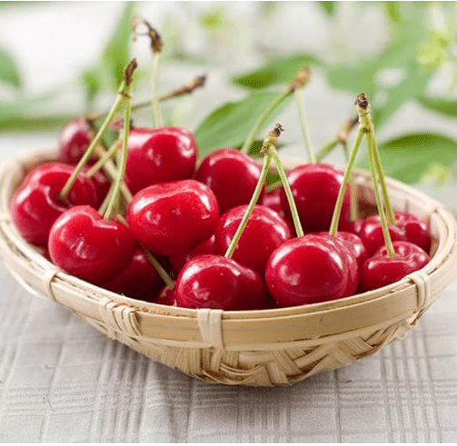 Brighter Blooms - Sweetheart Cherry Tree, 3-4 ft. - No Shipping to AZ, CA, CO, ID, OR, WA