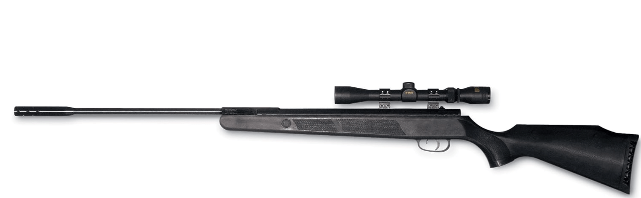 Beeman Panther Air Rifle, RS2 Trigger air rifle
