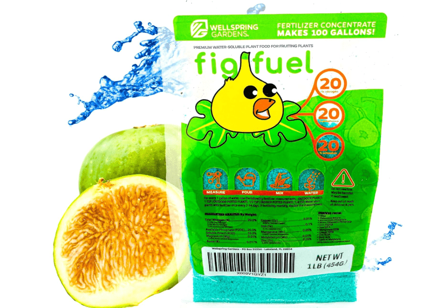 Wellspring Gardens Fig Fuel Fertilizer - Water-Soluble 20-20-20 Blend for Fig Trees, Fruit & Plant - Plant Food for Healthy Growth & Leaves - 1 Pound