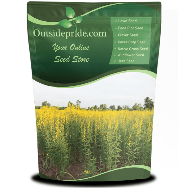 Outsidepride Sunn Hemp Seeds - 5 lbs Annual Legume, High Biomass Production Non-Wood Fiber Cover Crop, Ideal for Forage Production, Garden & Farm Use, Soil Improvement, & Erosion Control