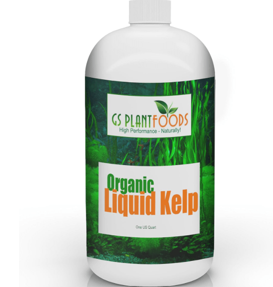 GS Plant Foods Liquid Kelp Fertilizer – Suitable for Organic Growing, OMRI Listed Seaweed Concentrate for Lawns, Gardens & Soil - 1 Quart