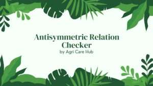 Antisymmetric Relation Checker