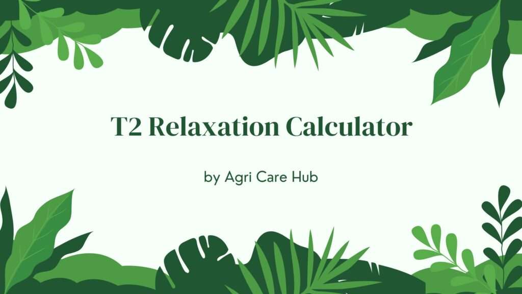 T2 Relaxation Calculator