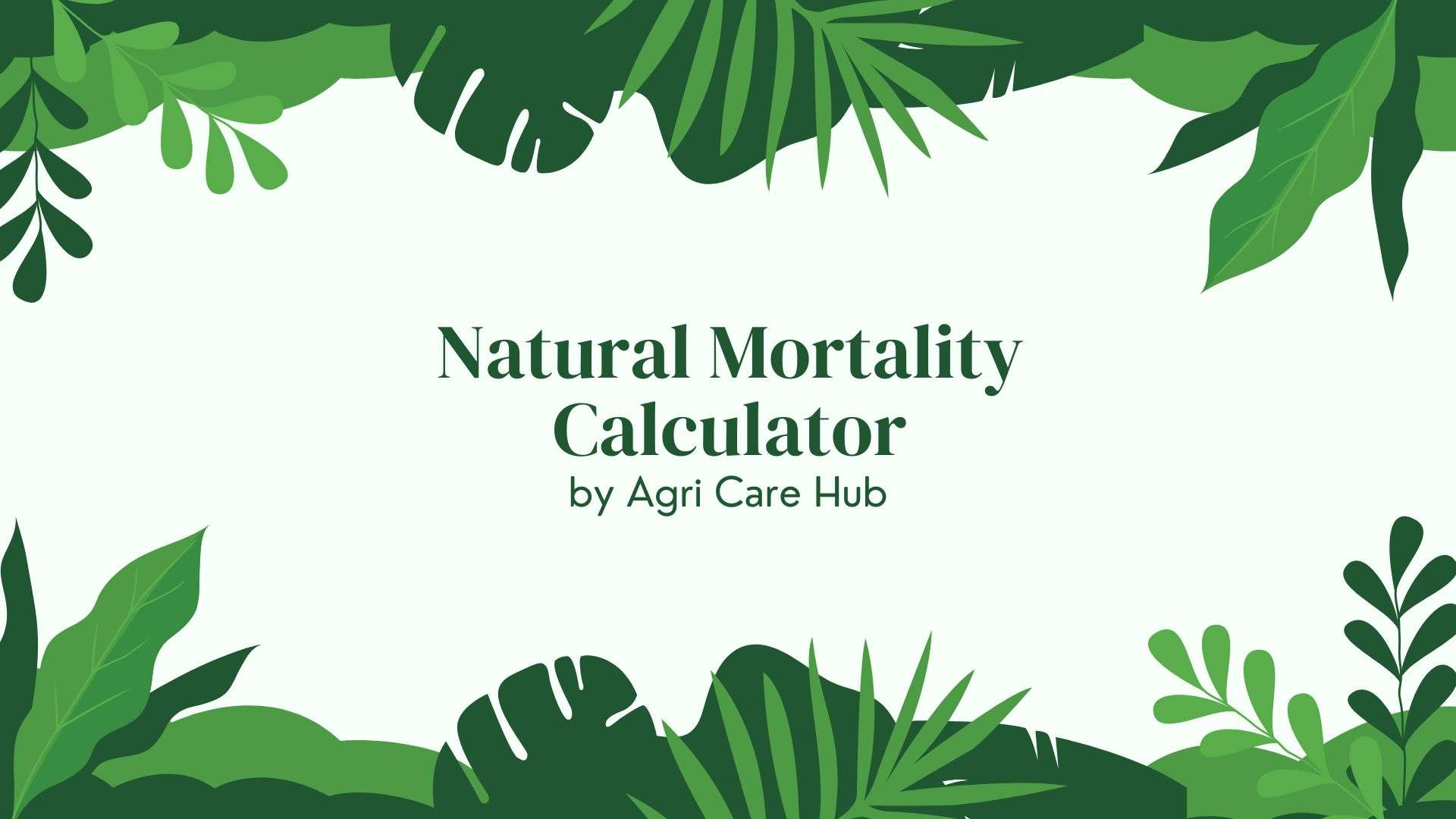 Natural Mortality Calculator Easy & Accurate Results