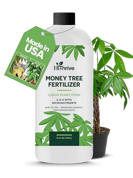HiThrive Money Tree Plant Indoor Fertilizer