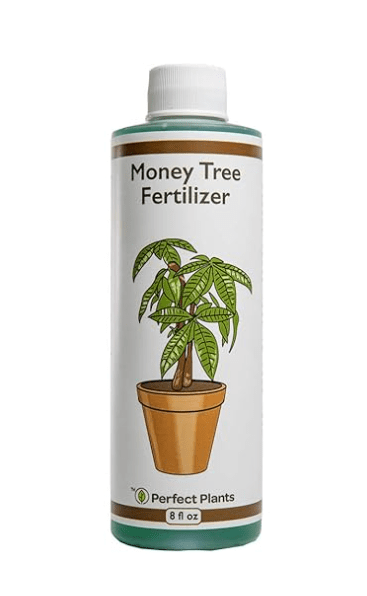 Perfect Plants Liquid Money Tree Fertilizer
