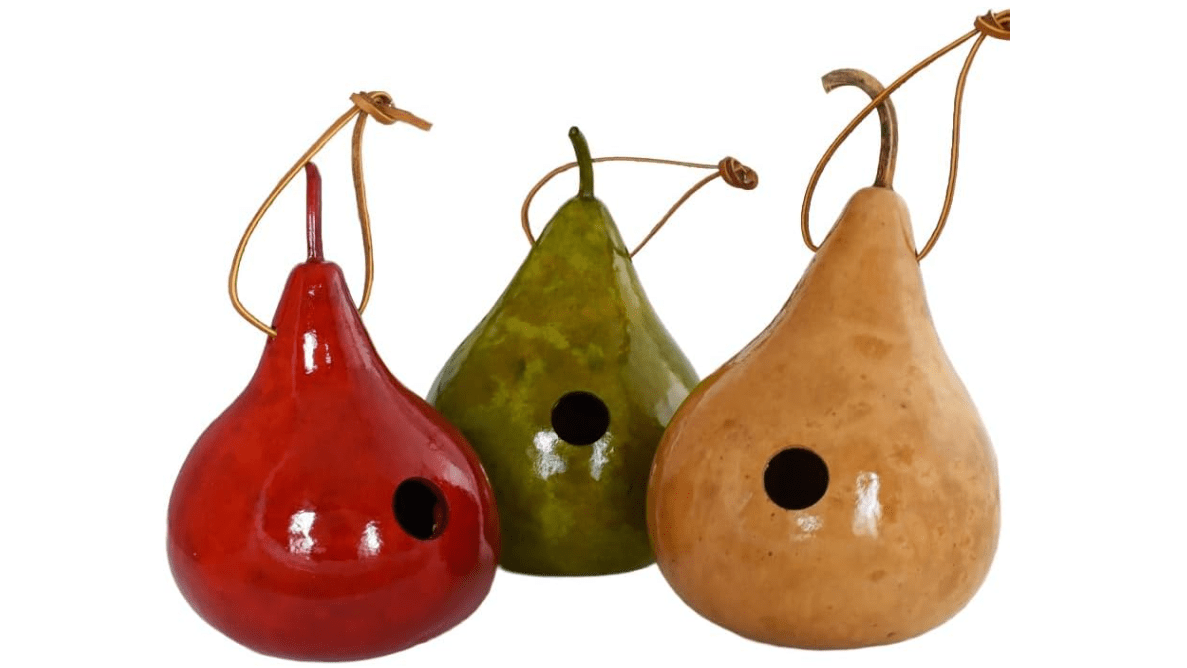 Gourd Wren House - Small - Set of 3 - Bird Lovers Gift 