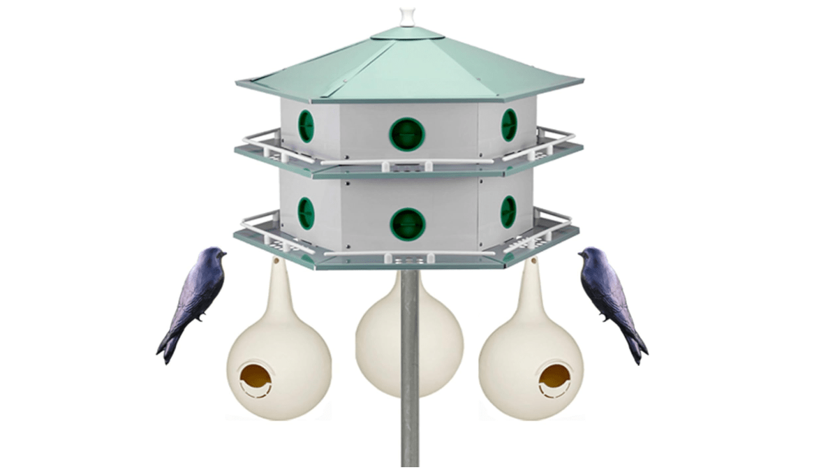 Heath 12-Room Deluxe Purple Martin House & Gourds Kit