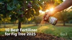 Best fertilizer for fig tree 2025 – TreeHelp Premium in action, expert guide featured image.