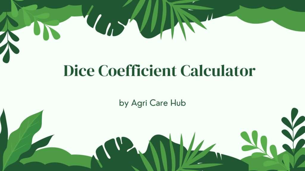 Dice Coefficient Calculator