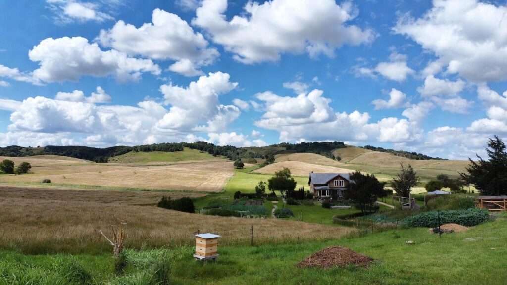 first year on new acreage